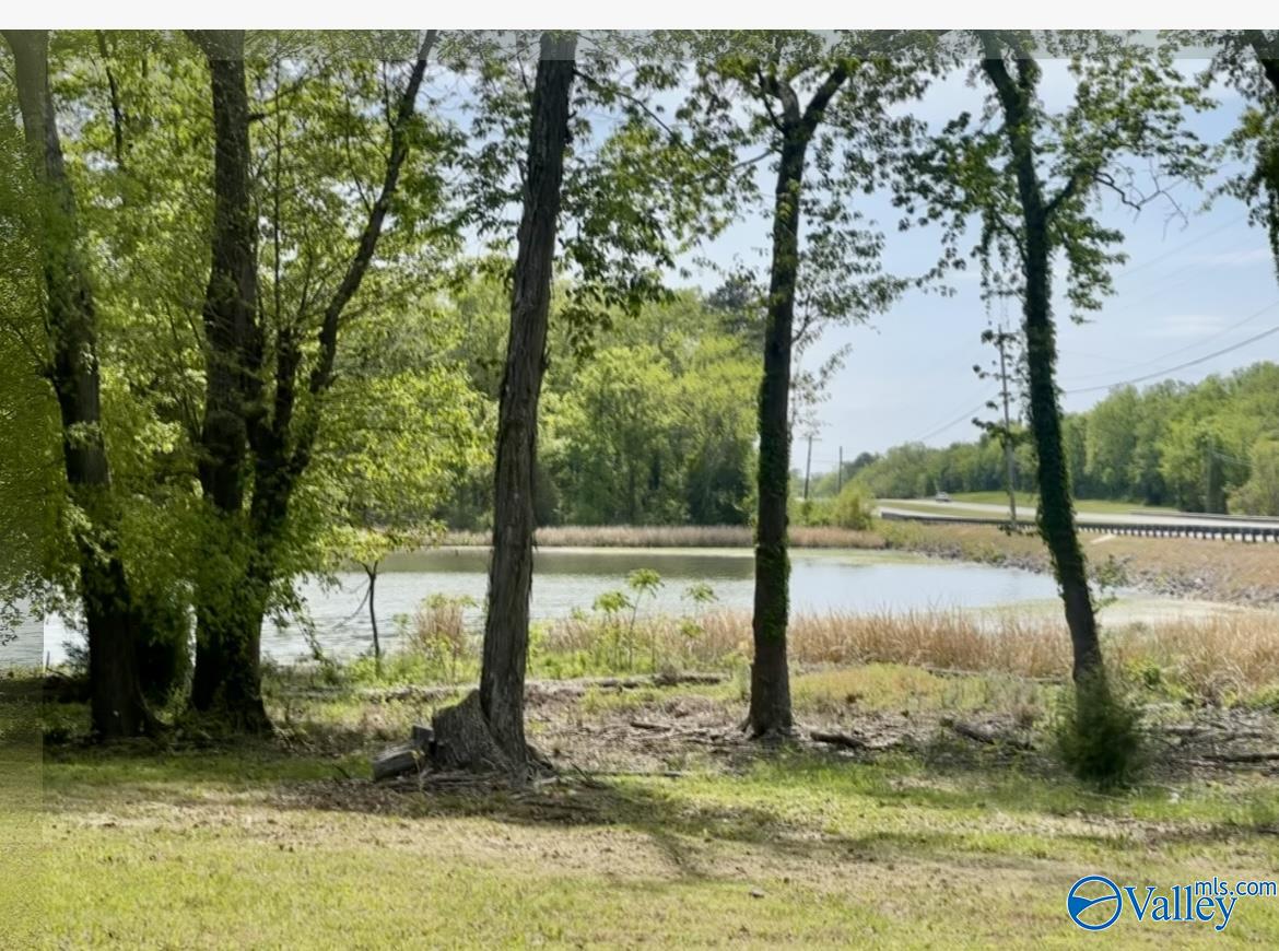 81 Shoreline Circle, Guntersville, Alabama image 6