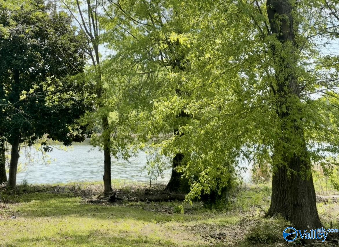 81 Shoreline Circle, Guntersville, Alabama image 7
