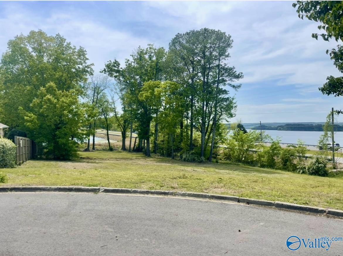 81 Shoreline Circle, Guntersville, Alabama image 4