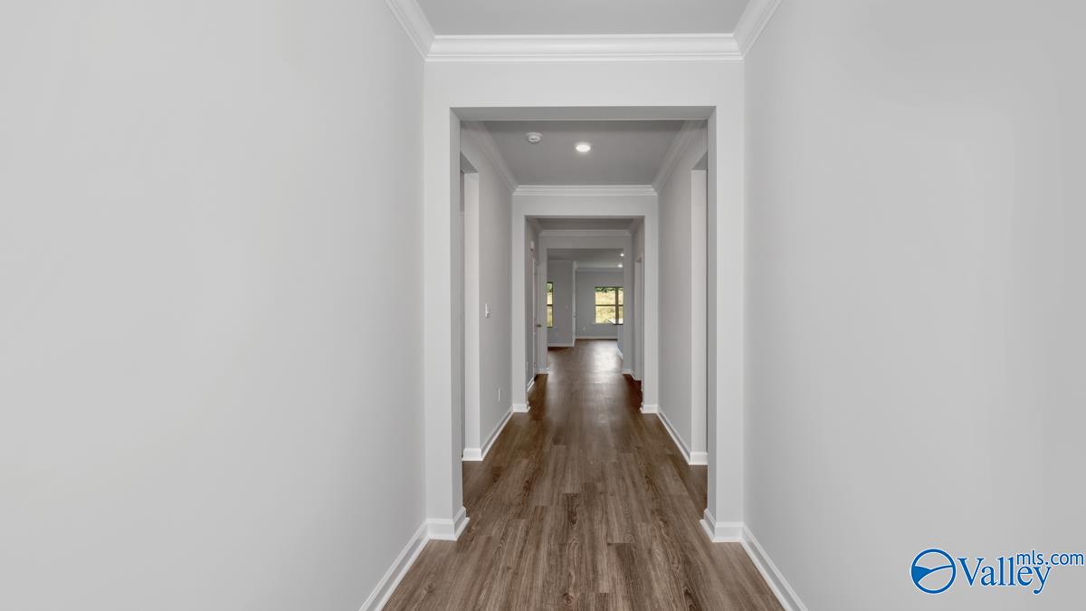12845 Golden Hay Circle, Madison, Alabama image 12