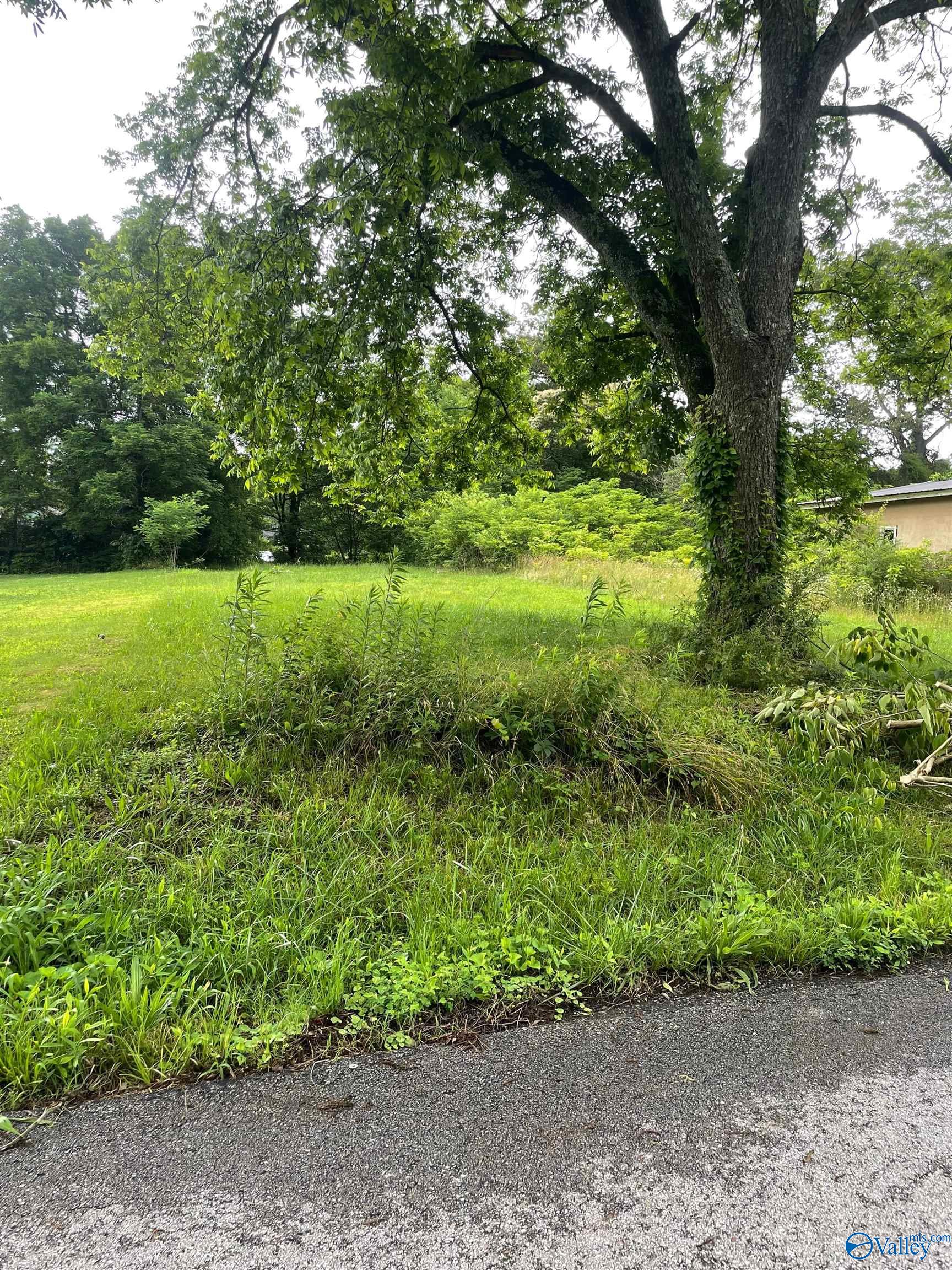 LOT 54 OFF W5 NW 3rd Avenue, Arab, Alabama image 2