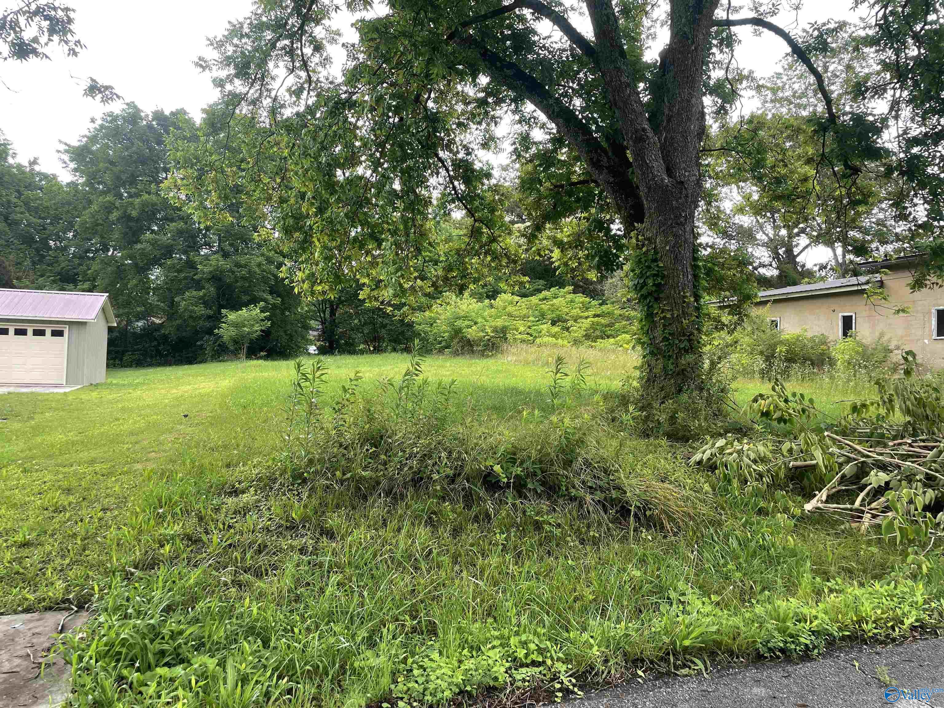 LOT 54 OFF W5 NW 3rd Avenue, Arab, Alabama image 1