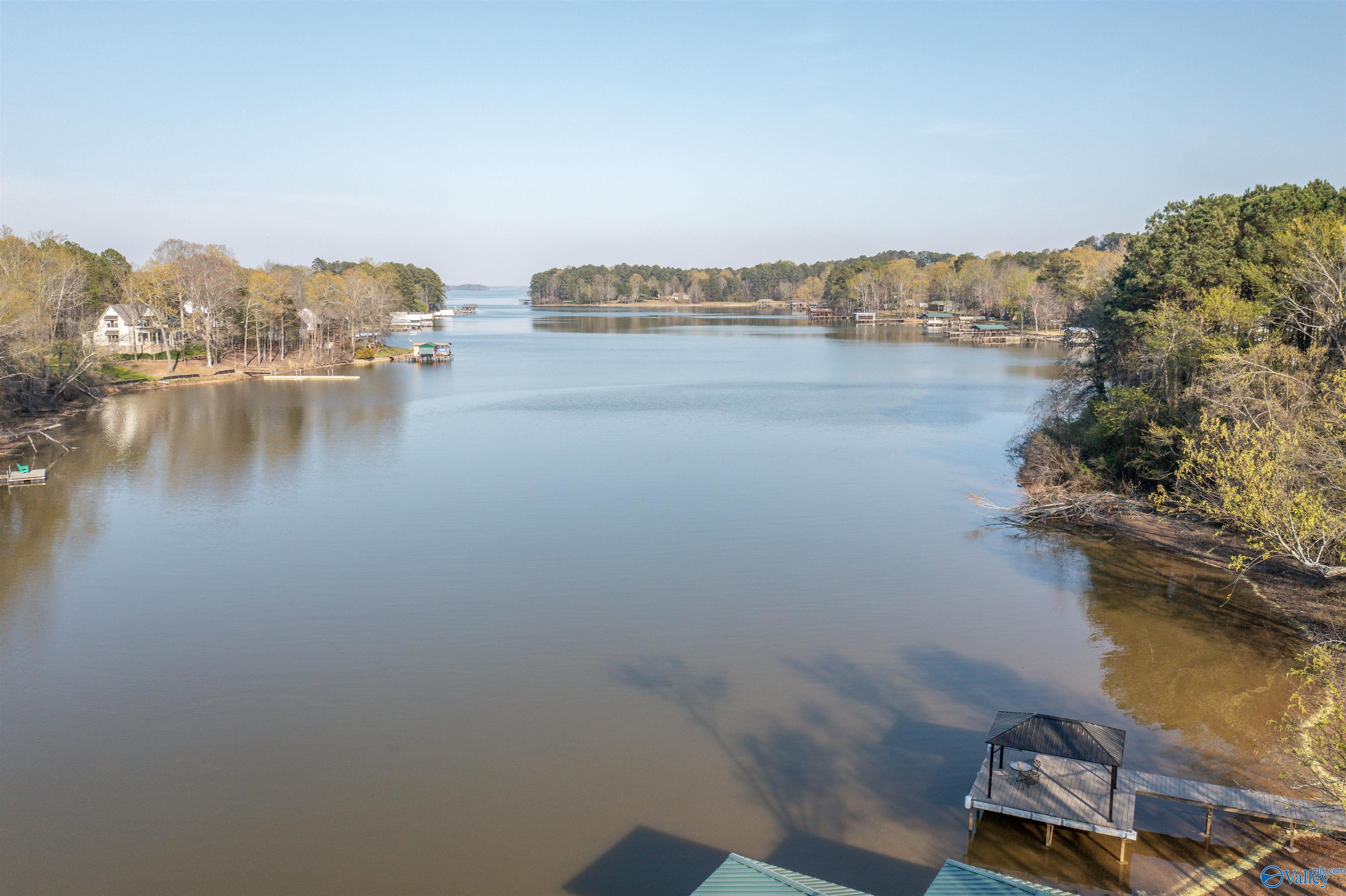 415 County Road 146, Leesburg, Alabama image 25