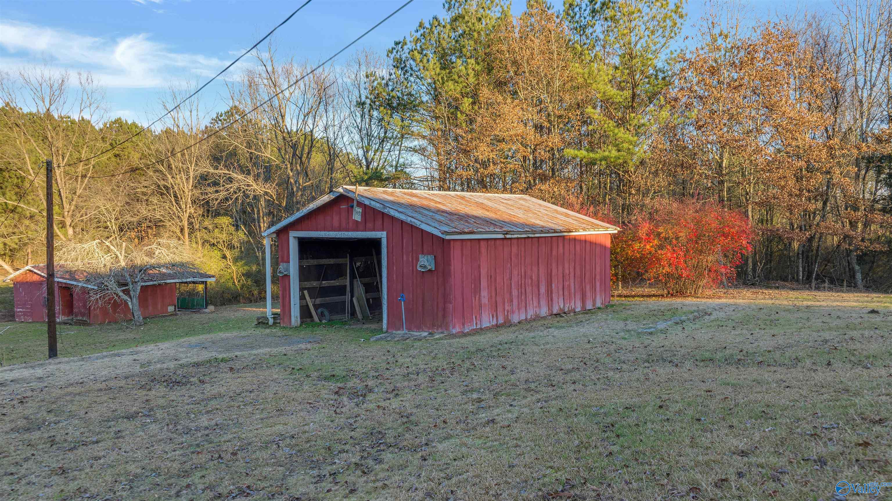 88 County Road 573, Sylvania, Alabama image 29