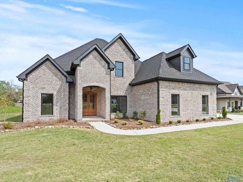 Homes For Sale - 20603 Jeremiah Lane<br/> Athens, AL 35611