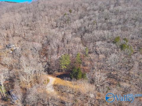 Vacant Land For Sale - 45 +/- ACRES Shooting Star Trail<br/> Gurley, AL 35748