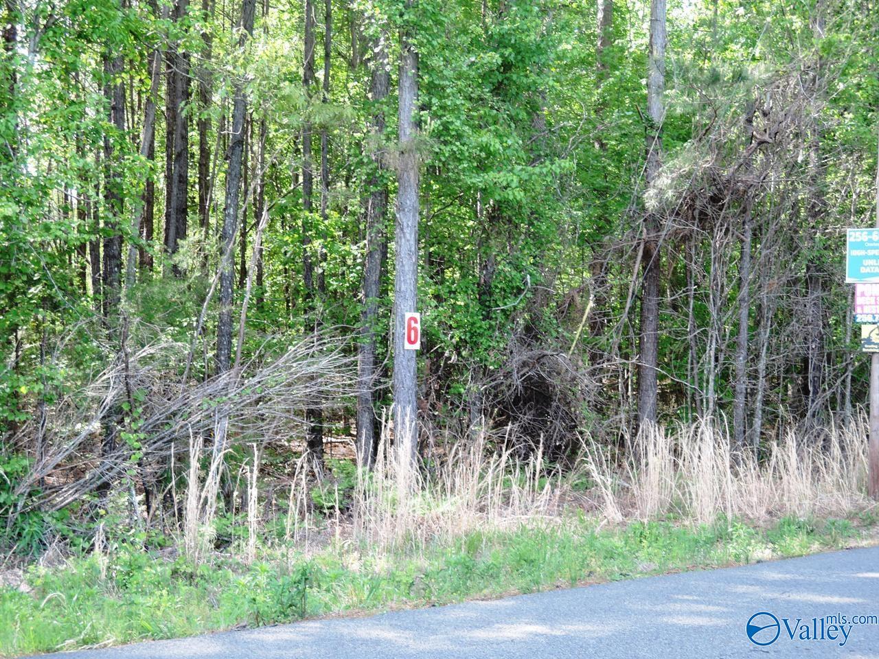 Lot 6 Arrowhead Drive, Jasper, Alabama image 1