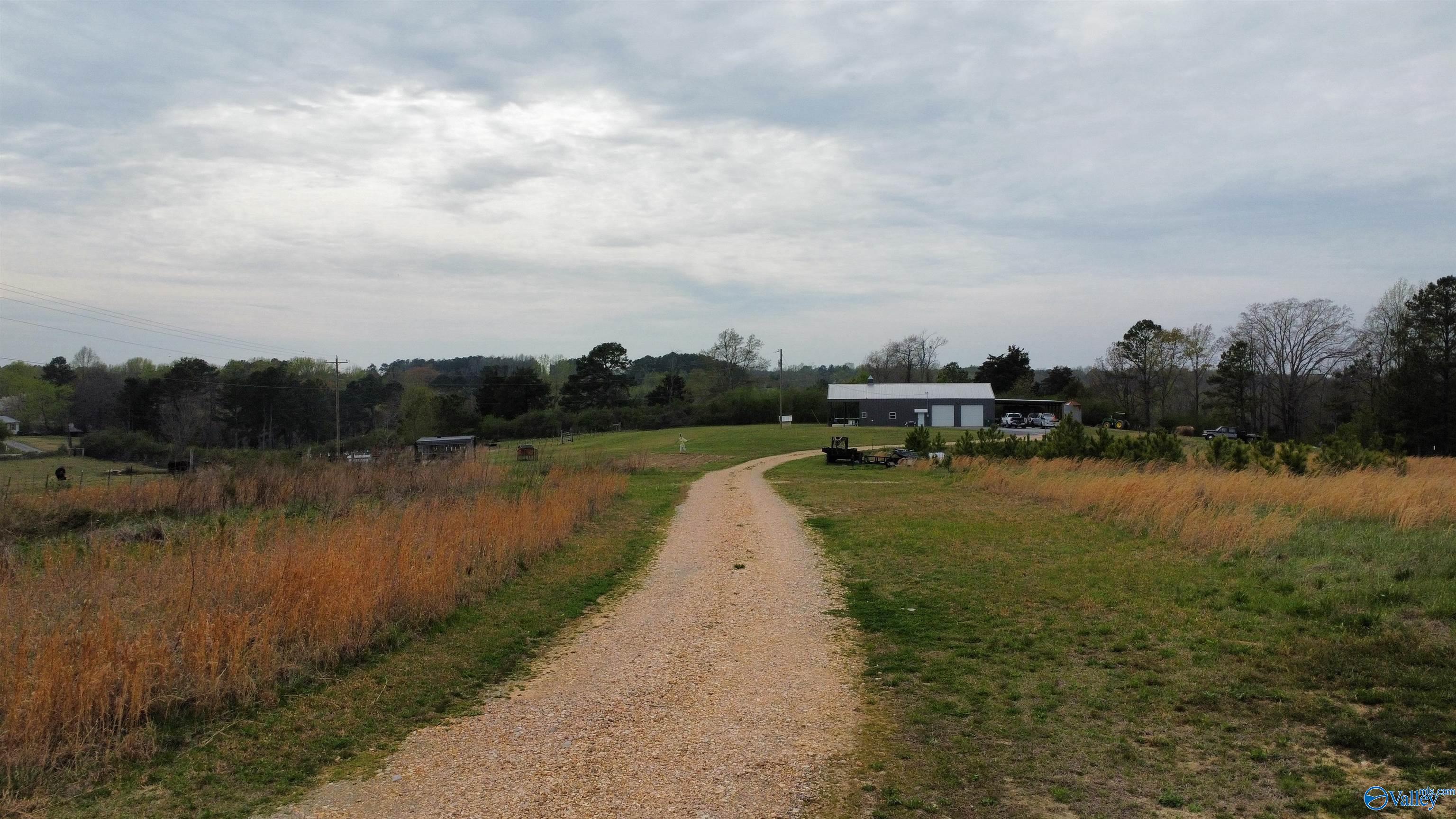 1920 County Road 1101, Vinemont, Alabama image 4
