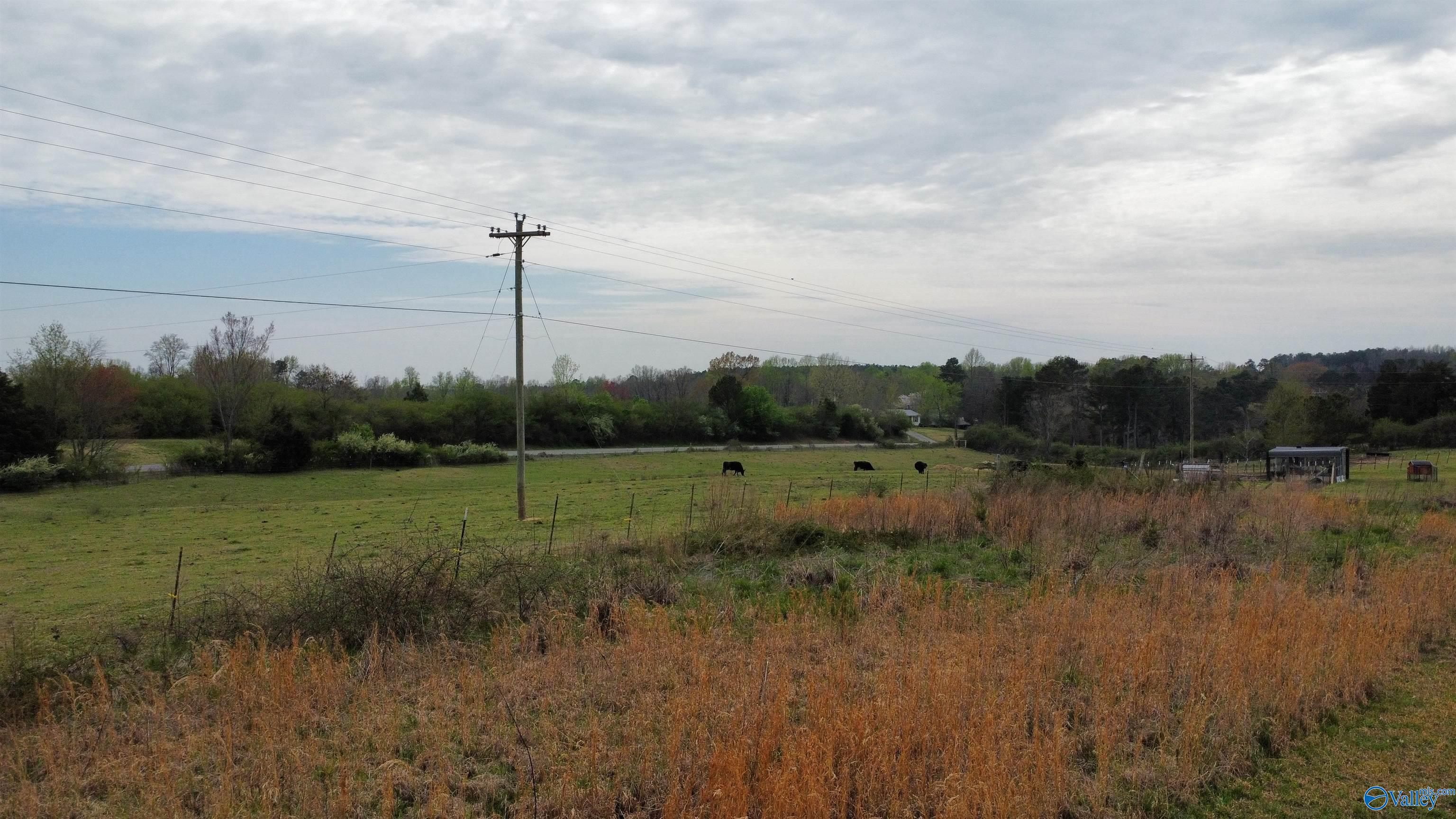 1920 County Road 1101, Vinemont, Alabama image 5