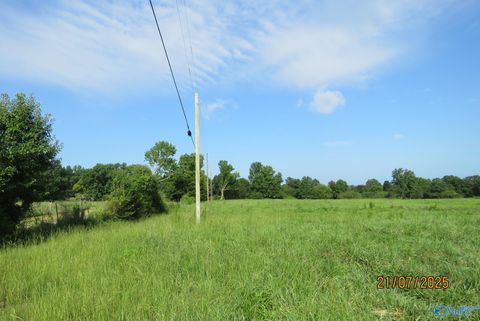 Vacant Land For Sale - TRACT 12 Brown Road<br/> Boaz, AL 35957