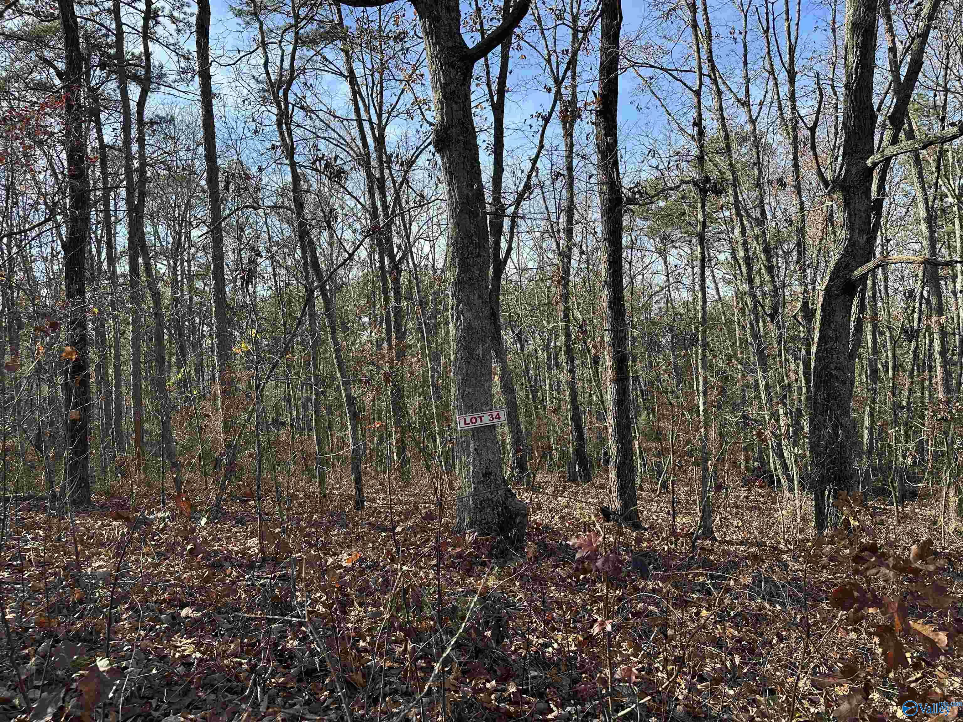 Lot 34 Woodfern Drive, Scottsboro, Alabama image 1