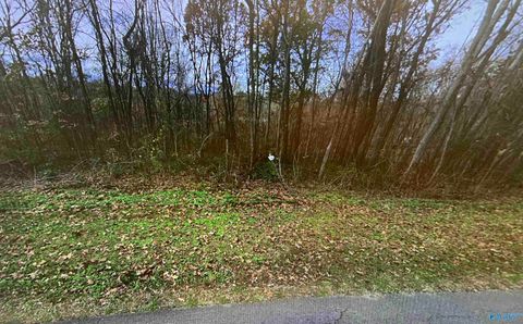 Vacant Land For Sale - 1.0 Mountain View Drive<br/> Russellville, AL 35653