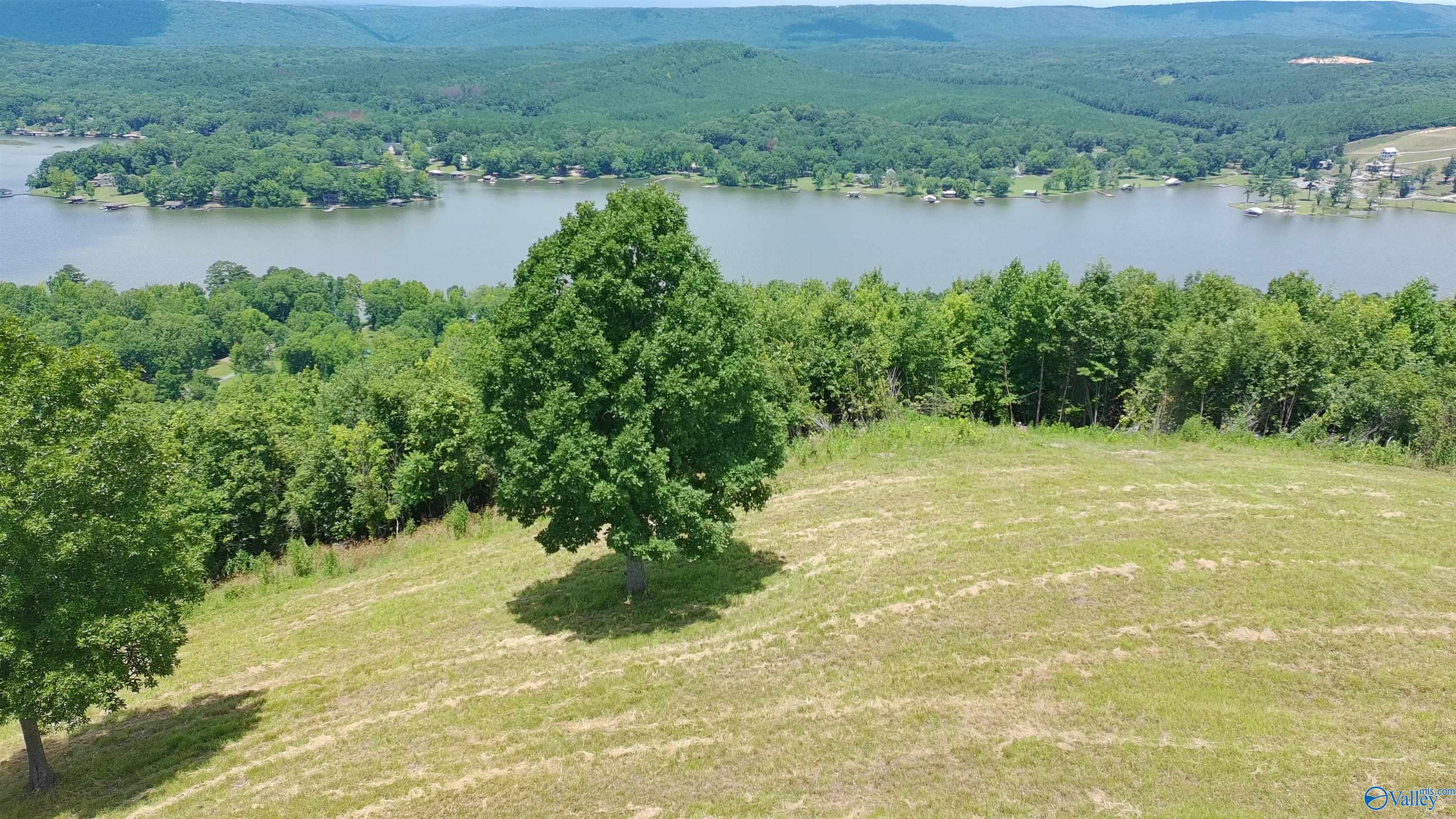 209 County Road 1022 - Photo 3