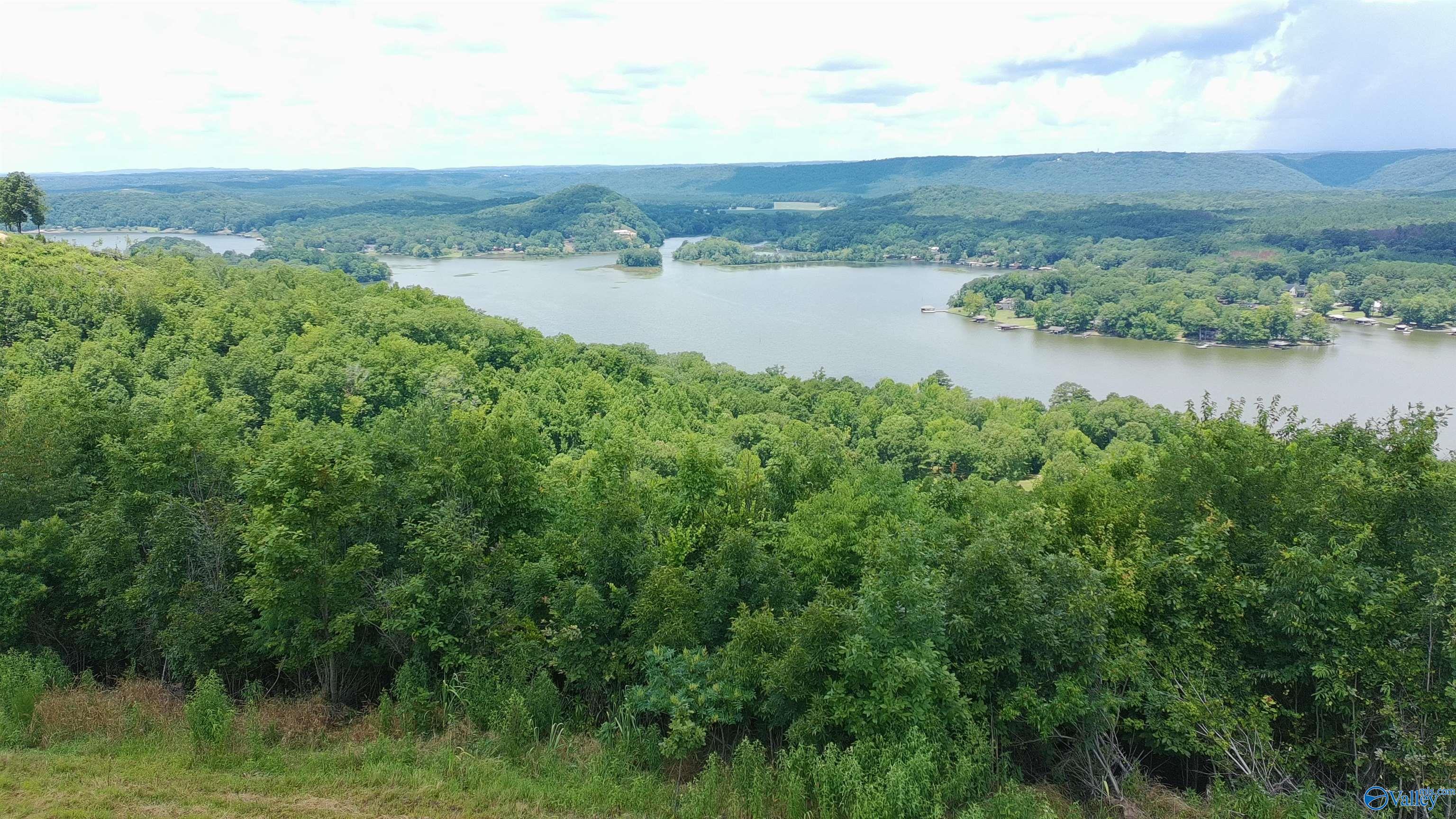 209 County Road 1022 - Photo 4