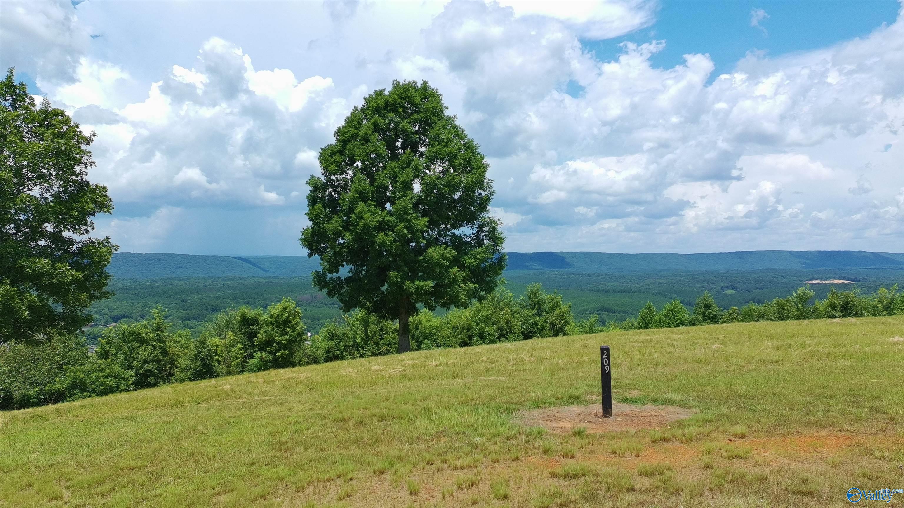 209 County Road 1022 - Photo 2