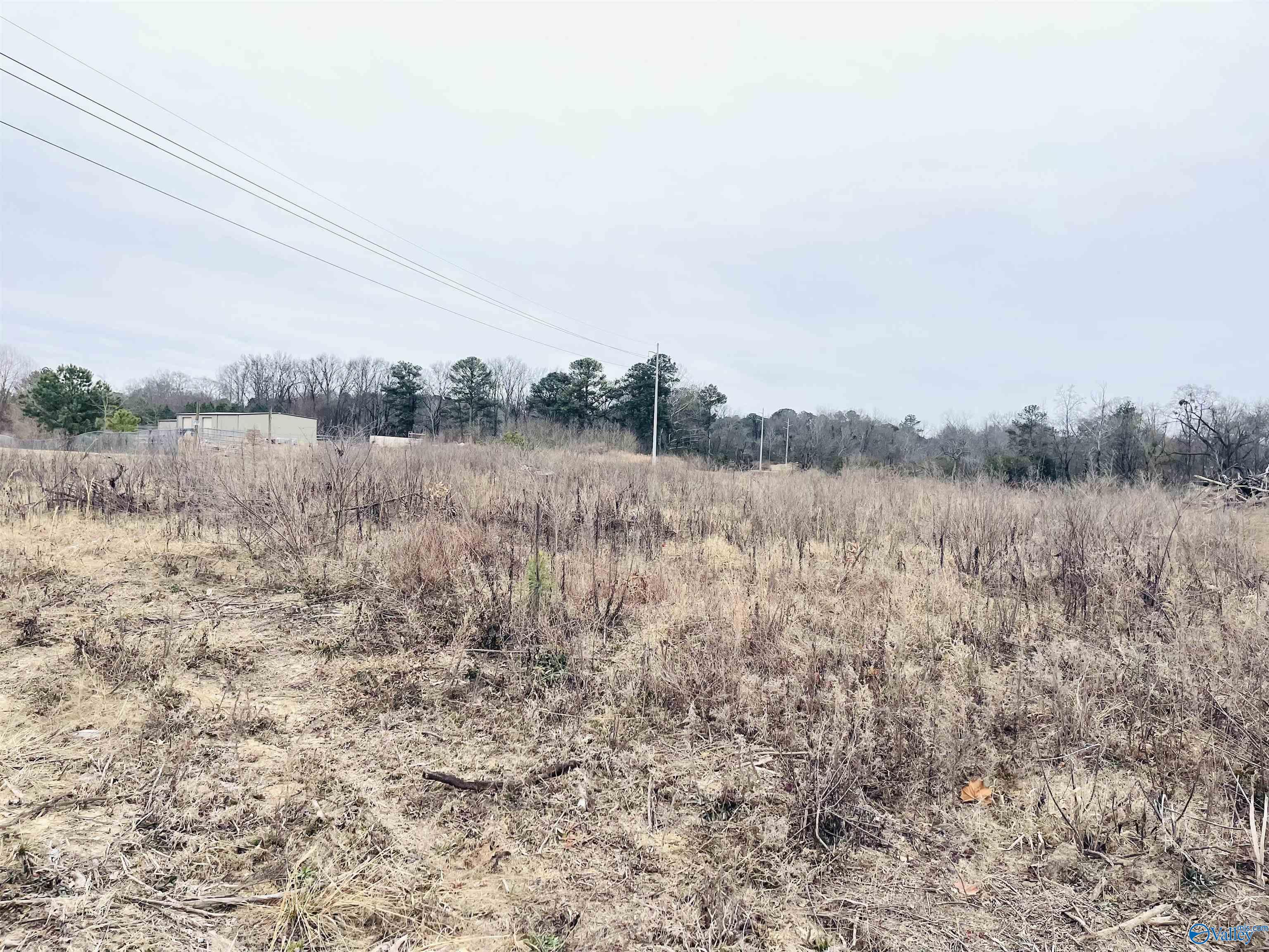 3.97 Acres Crow Street, Albertville, Alabama image 1