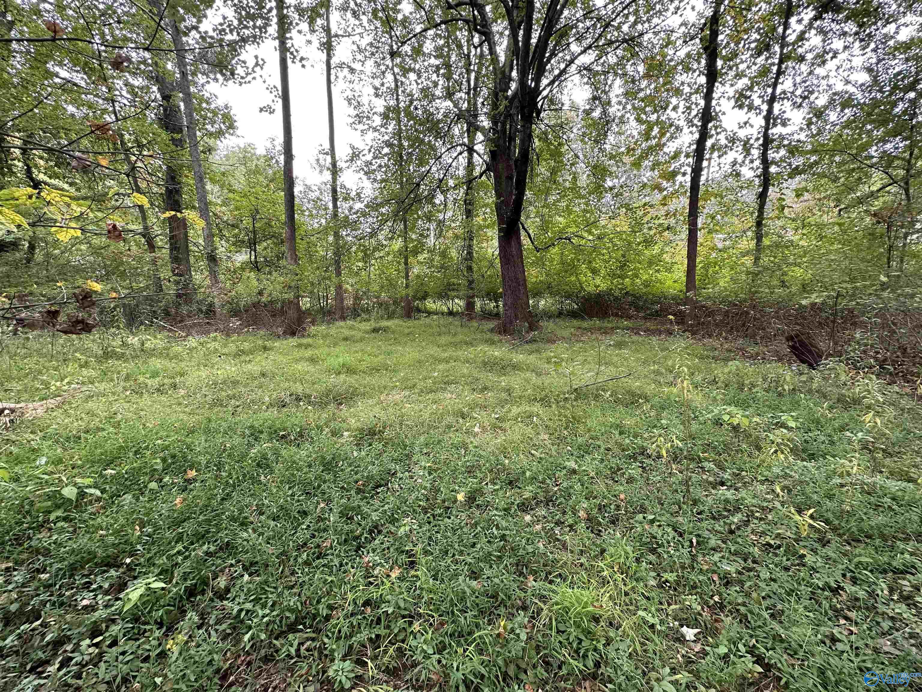 Lot 36 & 37 Monte Sano Blvd, Huntsville, Alabama image 1