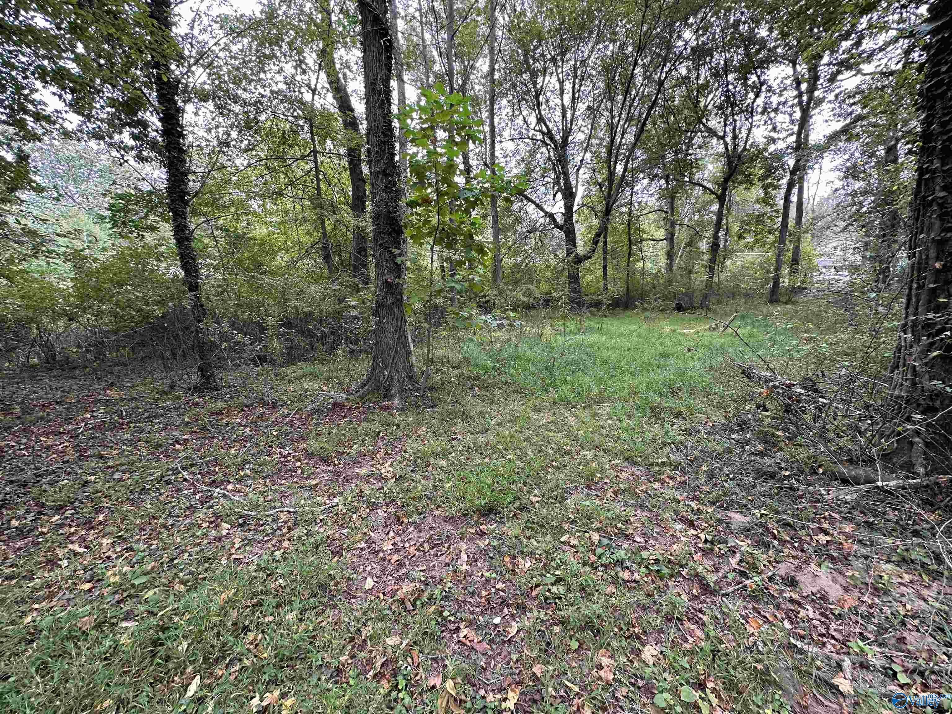 Lot 36 & 37 Monte Sano Blvd, Huntsville, Alabama image 3