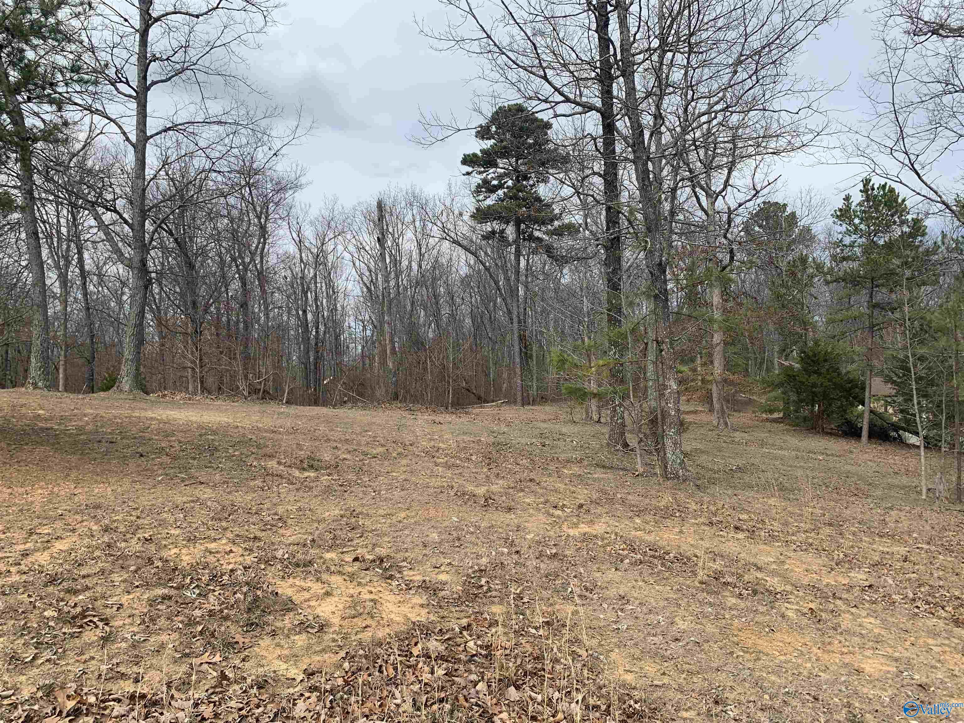 129 Ridgecreek Drive, Gurley, Alabama image 2
