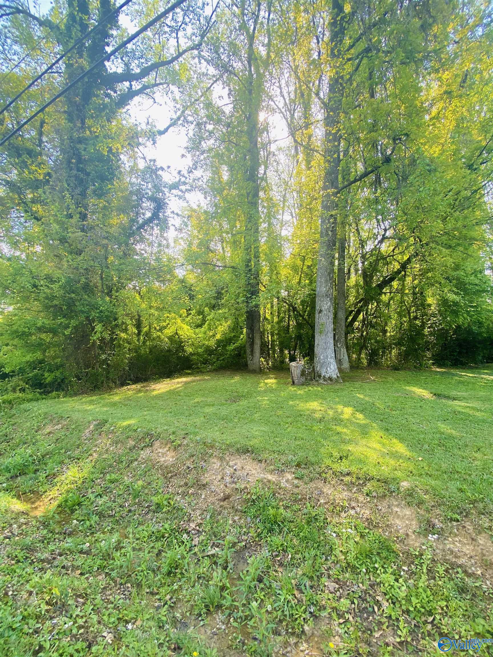 Buckingham Pl Fairview Road, Gadsden, Alabama image 4