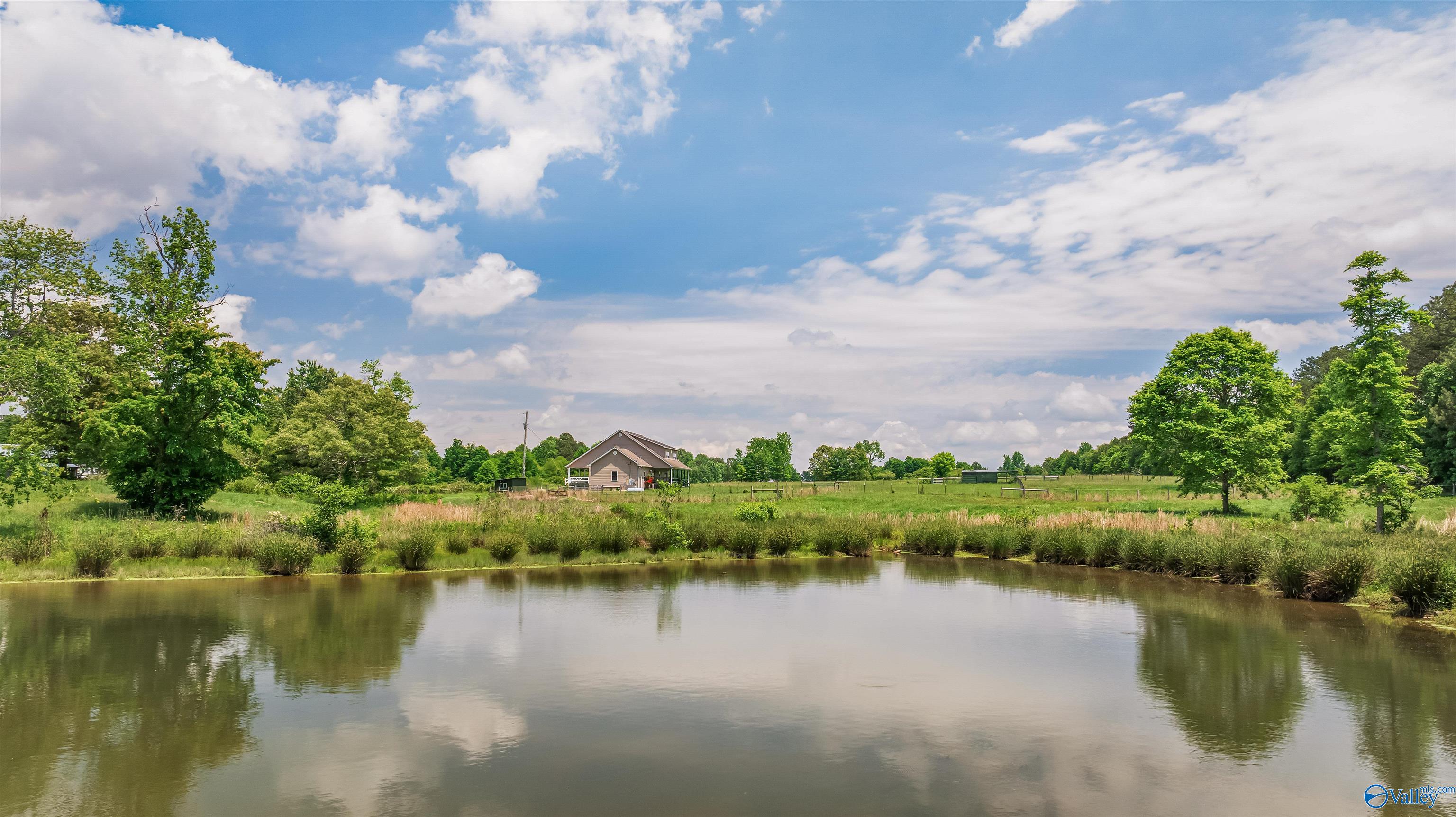 5470 County Road 123, Dutton, Alabama image 4