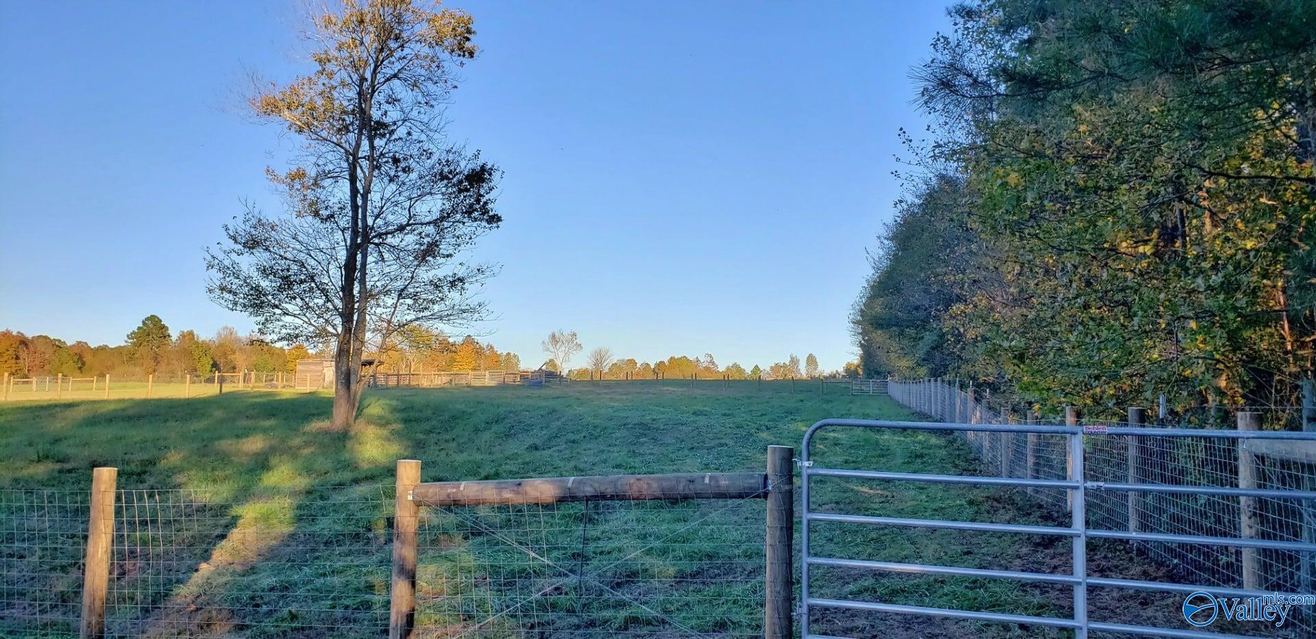 5470 County Road 123, Dutton, Alabama image 38