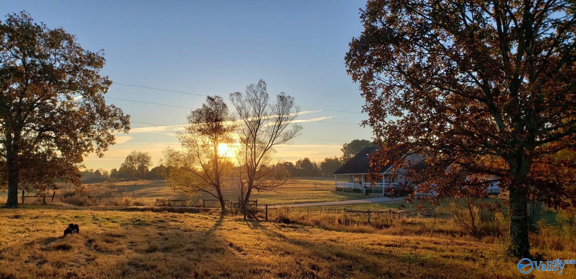 5470 County Road 123, Dutton, Alabama image 42