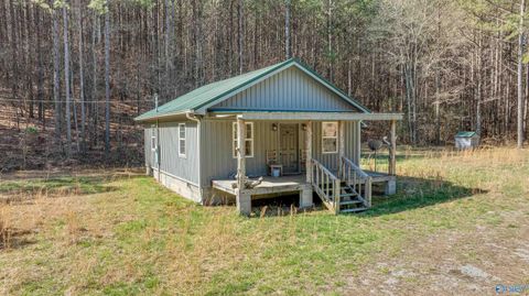 Vacant Land For Sale - 1003 County Road 207<br/> Collinsville, AL 35961