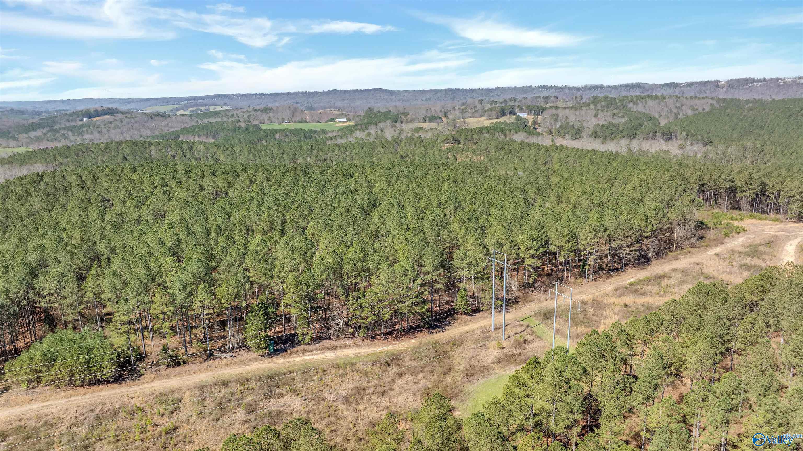 1003 County Road 207, Collinsville, Alabama image 35