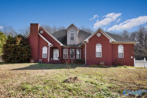 Photo of 411 N Seneca Drive, Trinity, AL 35673 (MLS # 21905781)