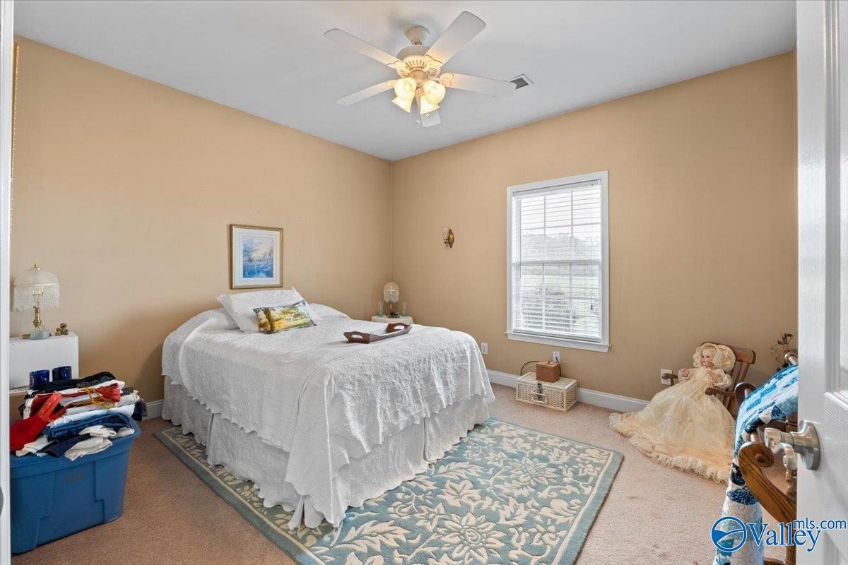 730 River Bend Road, Altoona, Alabama image 27