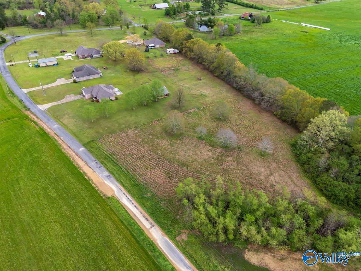 730 River Bend Road, Altoona, Alabama image 43