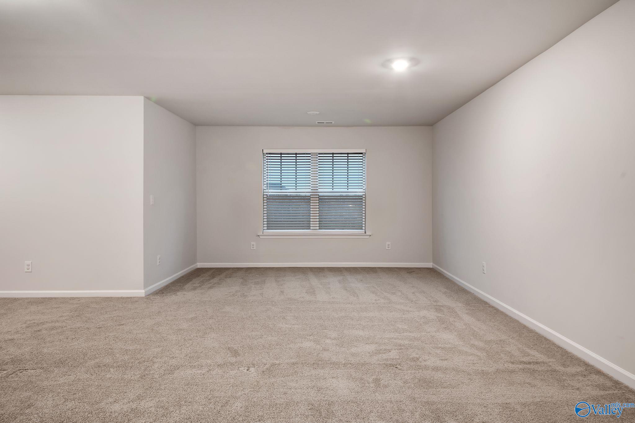 283 Shubert Drive, Hazel Green, Alabama image 46