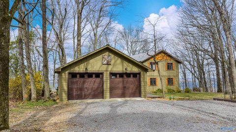 Photo of 16689 County Road 89, Mentone, AL 35984 (MLS # 21911611)