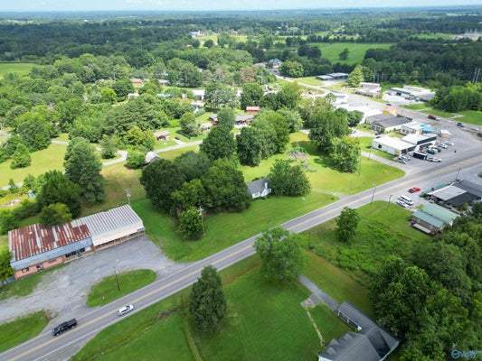 17966 STATE RTE 75, HENAGAR, AL 35978 - Image 37bdd89481a92e8238cfeecb0c58dda2/2415660483