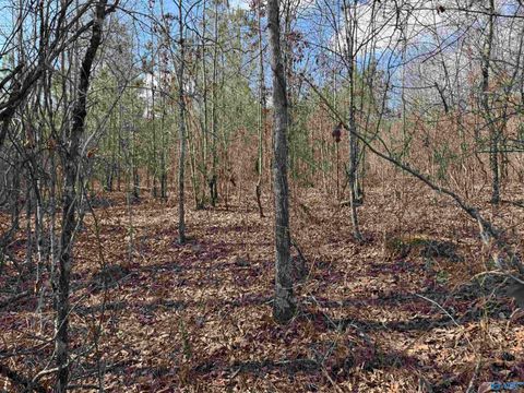 Vacant Land For Sale - 4 & 5 Estes Road #4  5<br/> Etowah County, Piedmont, AL 36272