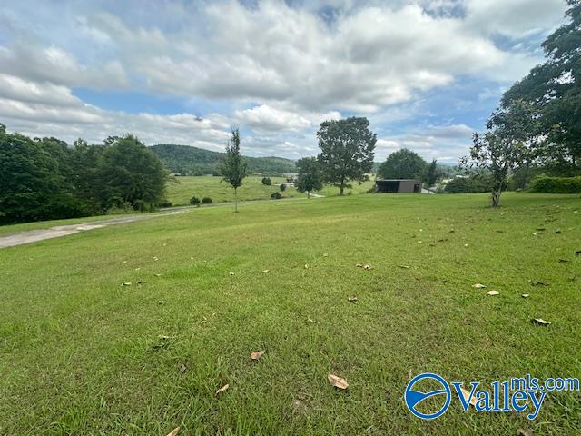 3385 County Road 31, Piedmont, Alabama image 22