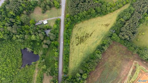 Vacant Land For Sale - 8.06 ACRES Alabama Highway 79<br/> Blountsville, AL 35031