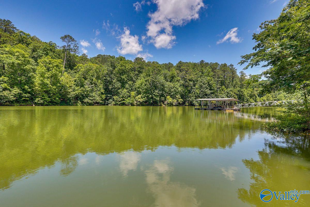 3133 County Road 113