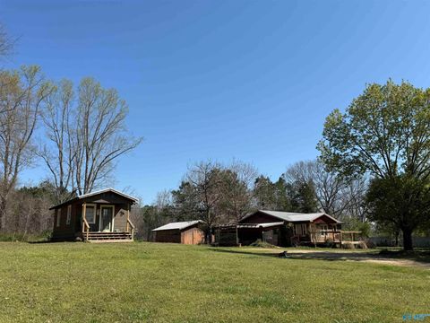 Photo of 750 Agricola Drive, Gadsden, AL 35904 (MLS # 21912675)