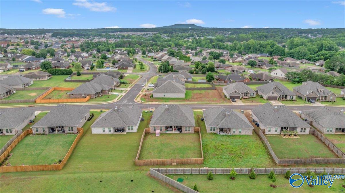 15803 Big Ben Drive, Harvest, Alabama image 48
