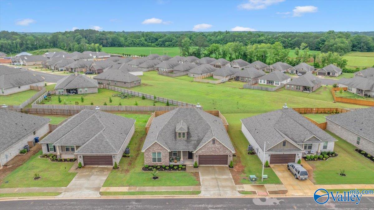 15803 Big Ben Drive, Harvest, Alabama image 49