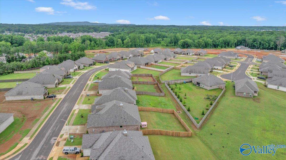 15803 Big Ben Drive, Harvest, Alabama image 47