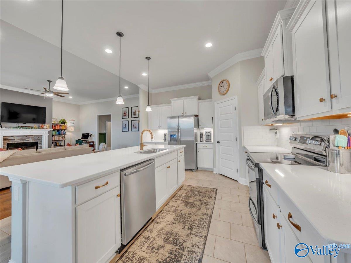 15803 Big Ben Drive, Harvest, Alabama image 15