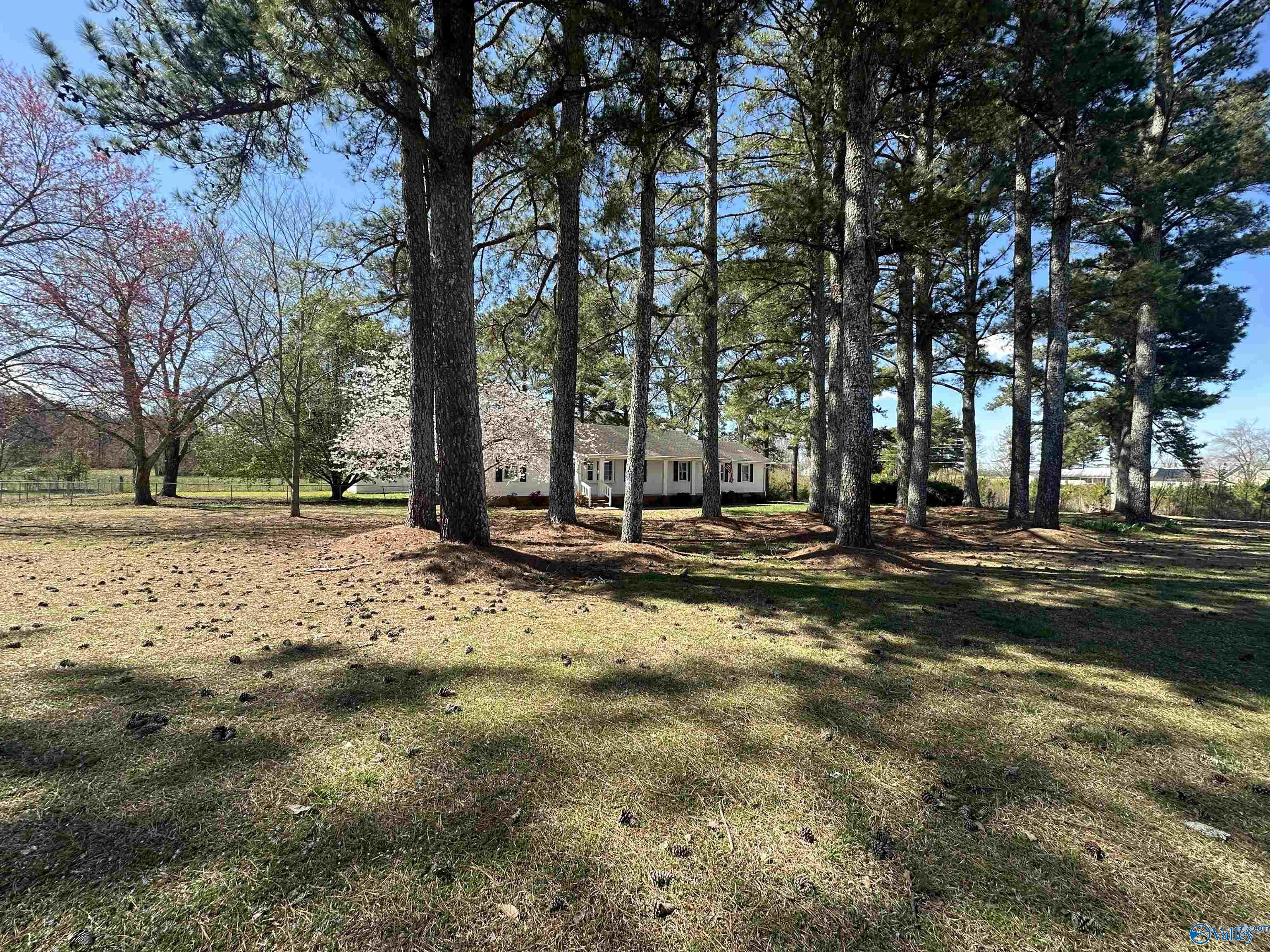 1468 Mount Vernon Drive, Boaz, Alabama image 25