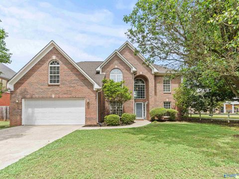Homes For Sale - 135 Cannes Drive<br/> Brownsboro, AL 35741
