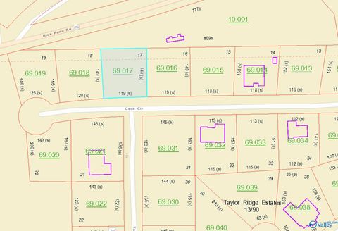 Vacant Land For Sale - 17 Cade Circle<br/> Cherokee County, Leesburg, AL 35983