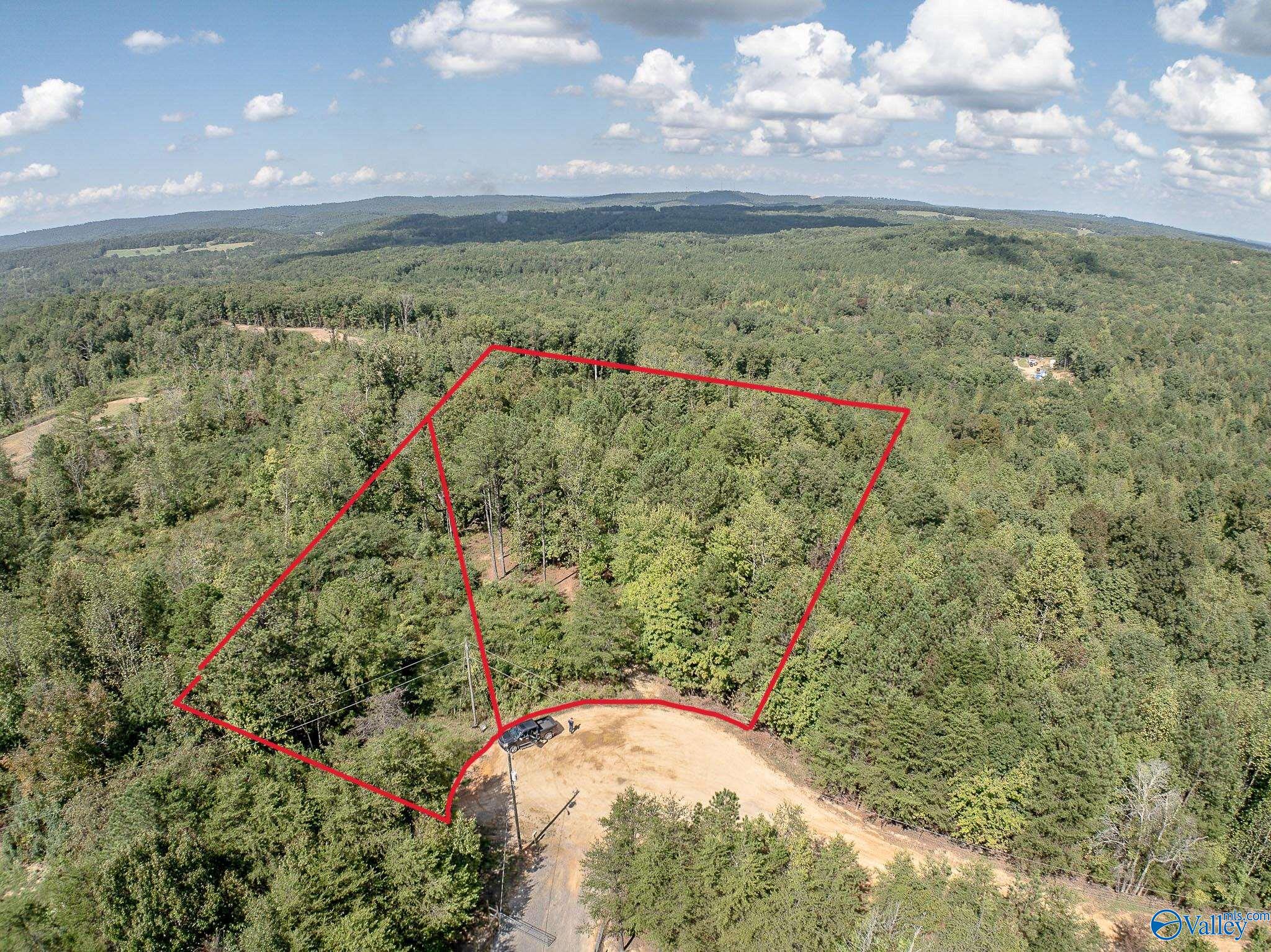 8.1 Acres Pine Trail, Altoona, Alabama image 1