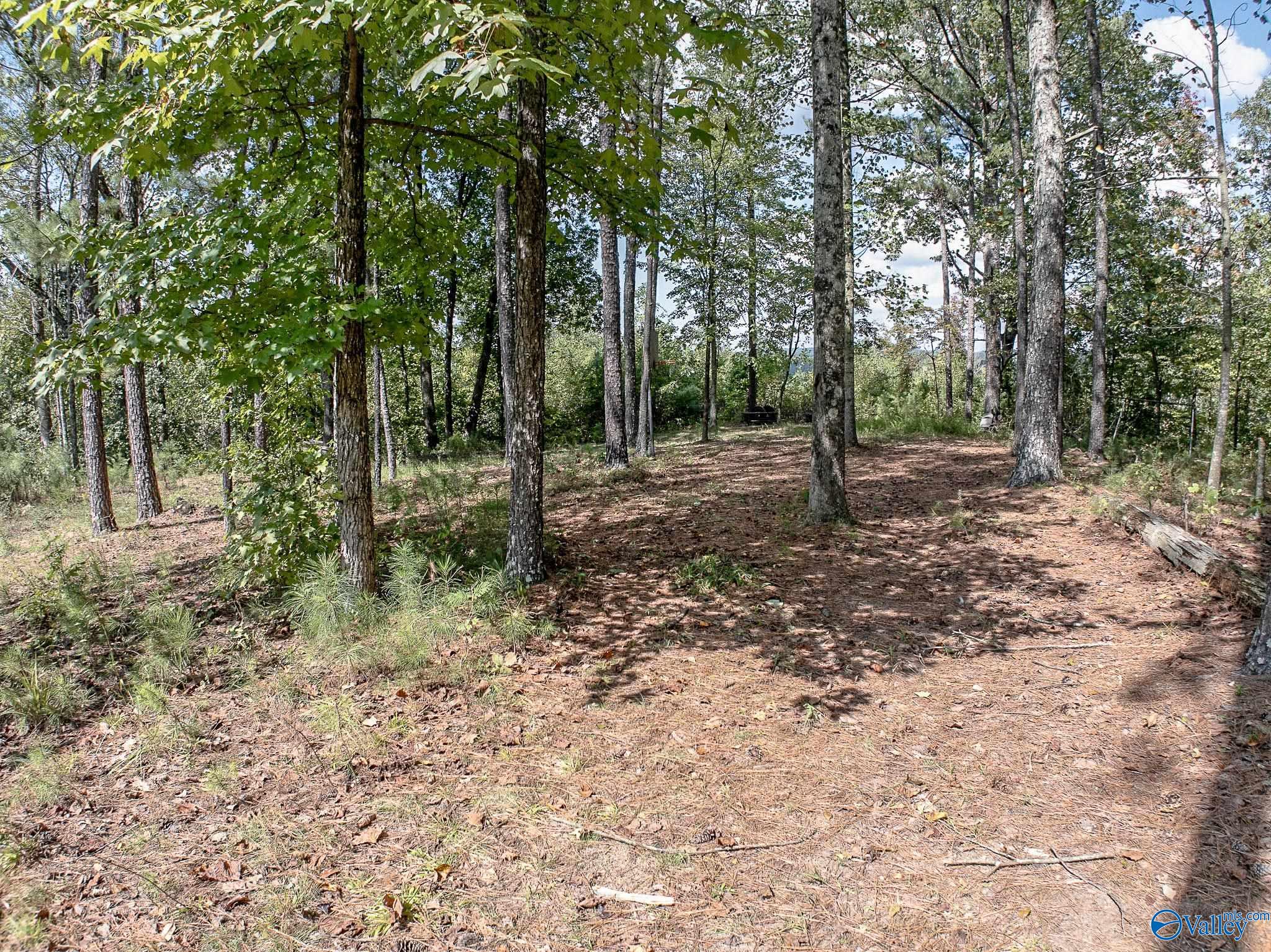 8.1 Acres Pine Trail, Altoona, Alabama image 5