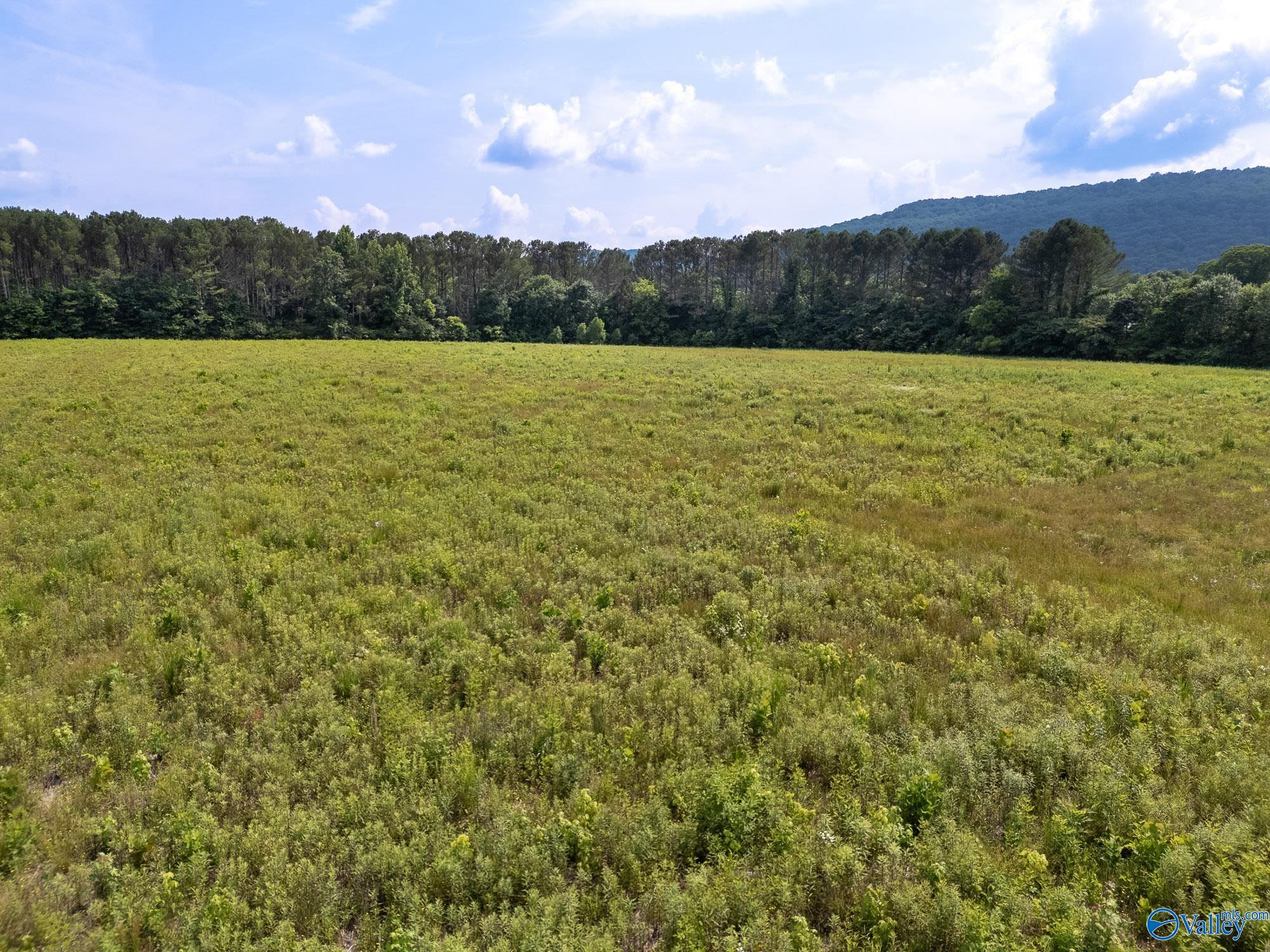 440 Maples Lane, New Hope, Alabama image 10